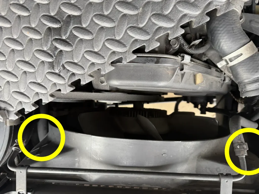 ファンシュラウド