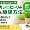 家庭菜園や庭木のアメリカシロヒトリ対策として農薬の選び方と駆除方法を解説する画像