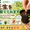 落花生を初めて育てる家庭菜園チャレンジで、ポットに種を植えて芽出しする様子を紹介するアイキャッチ画像